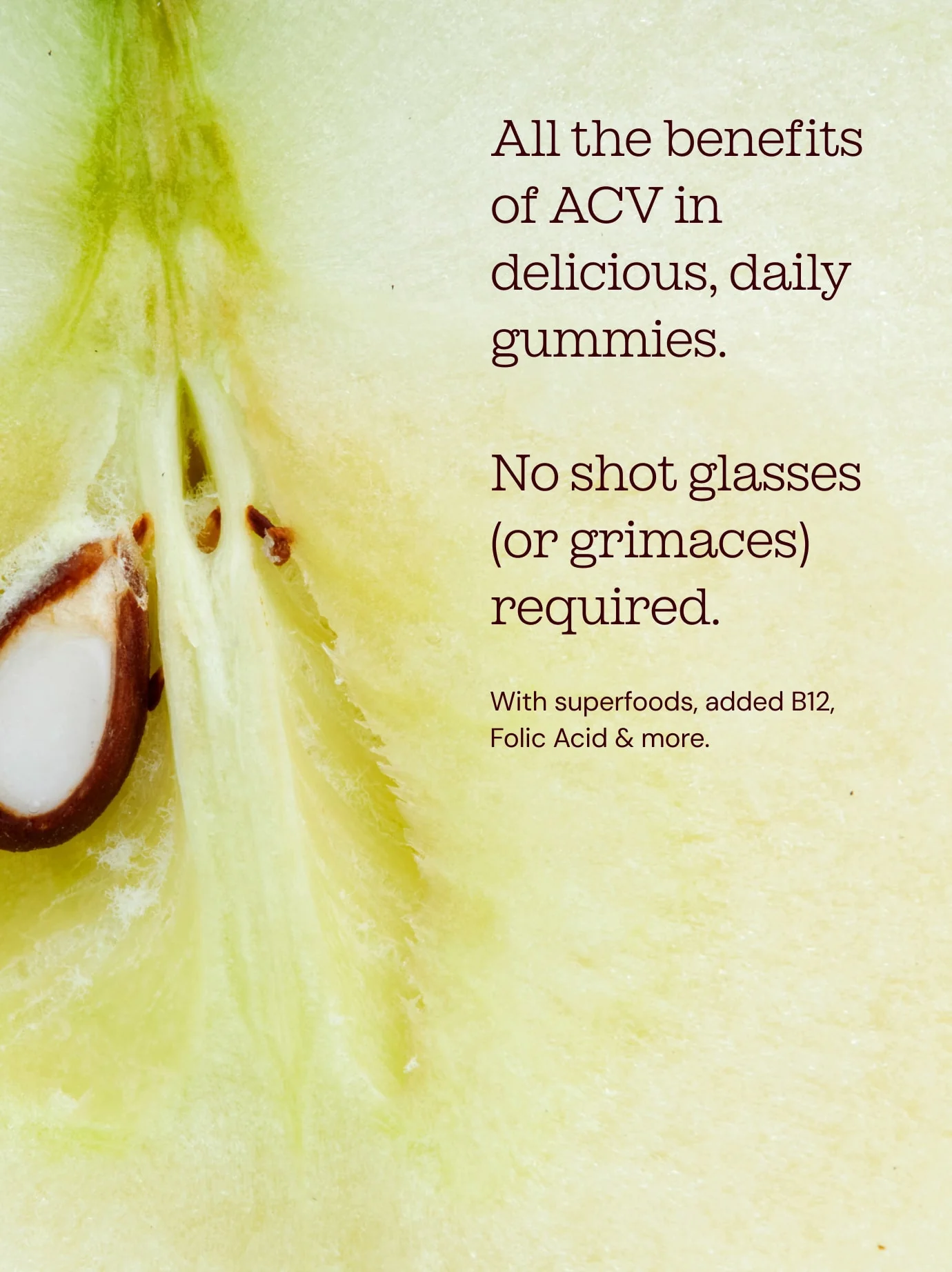 Apple Cider Vinegar Gummies Bundle - Image 5