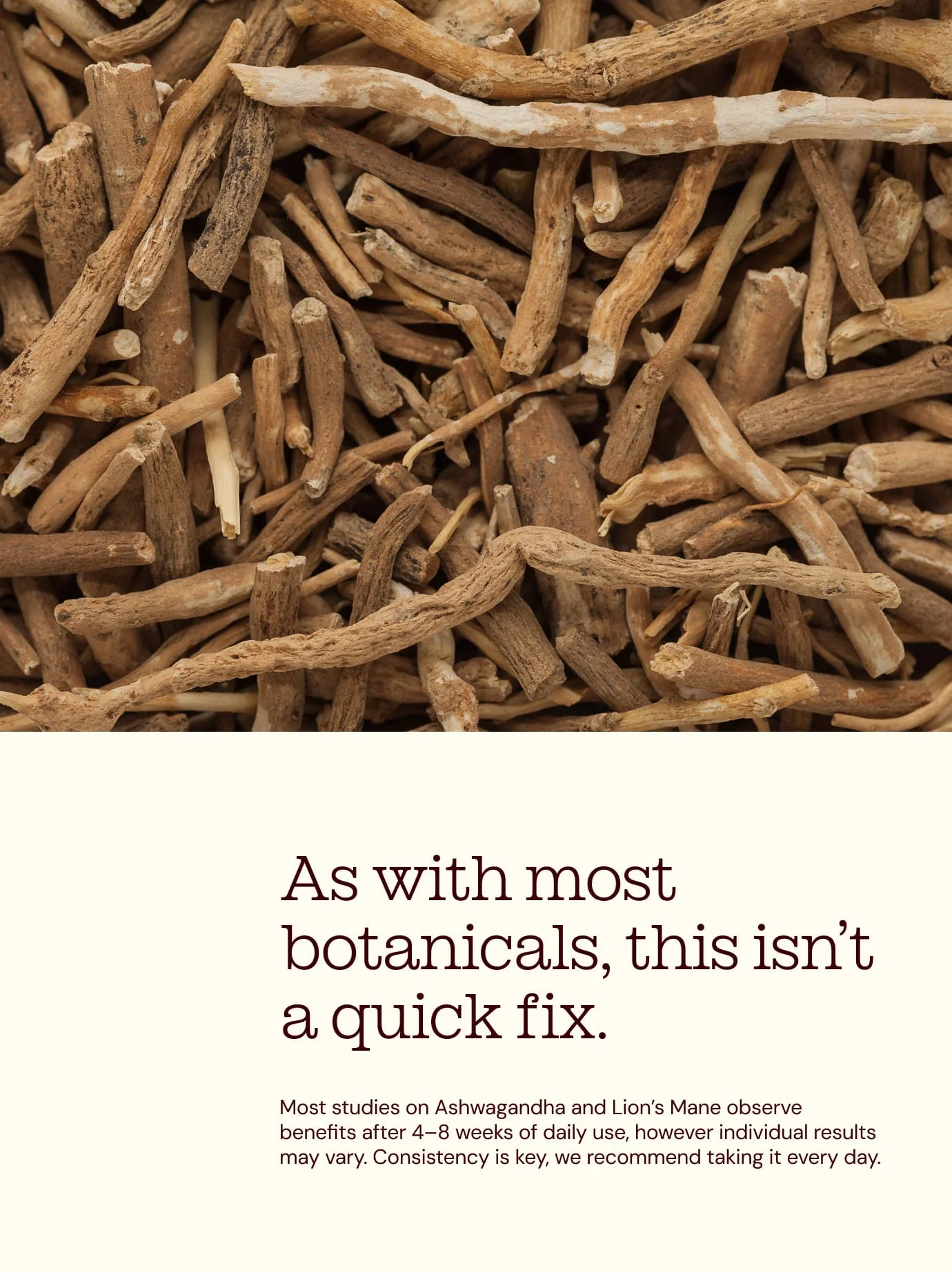 Ashwagandha KSM-66® + Lion's Mane - Image 10