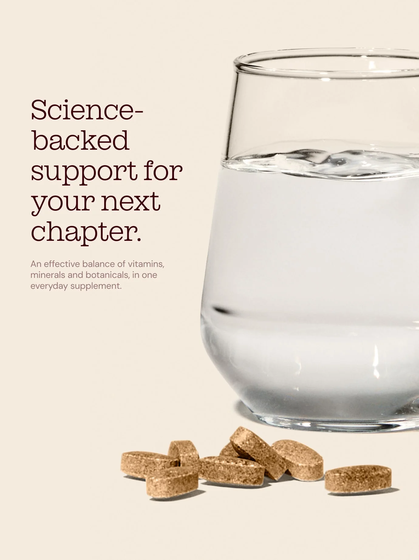 Perimenopause Supplement - Image 4