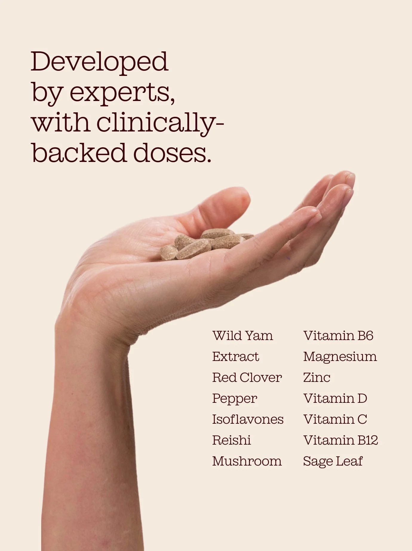 Perimenopause Supplement - Image 6