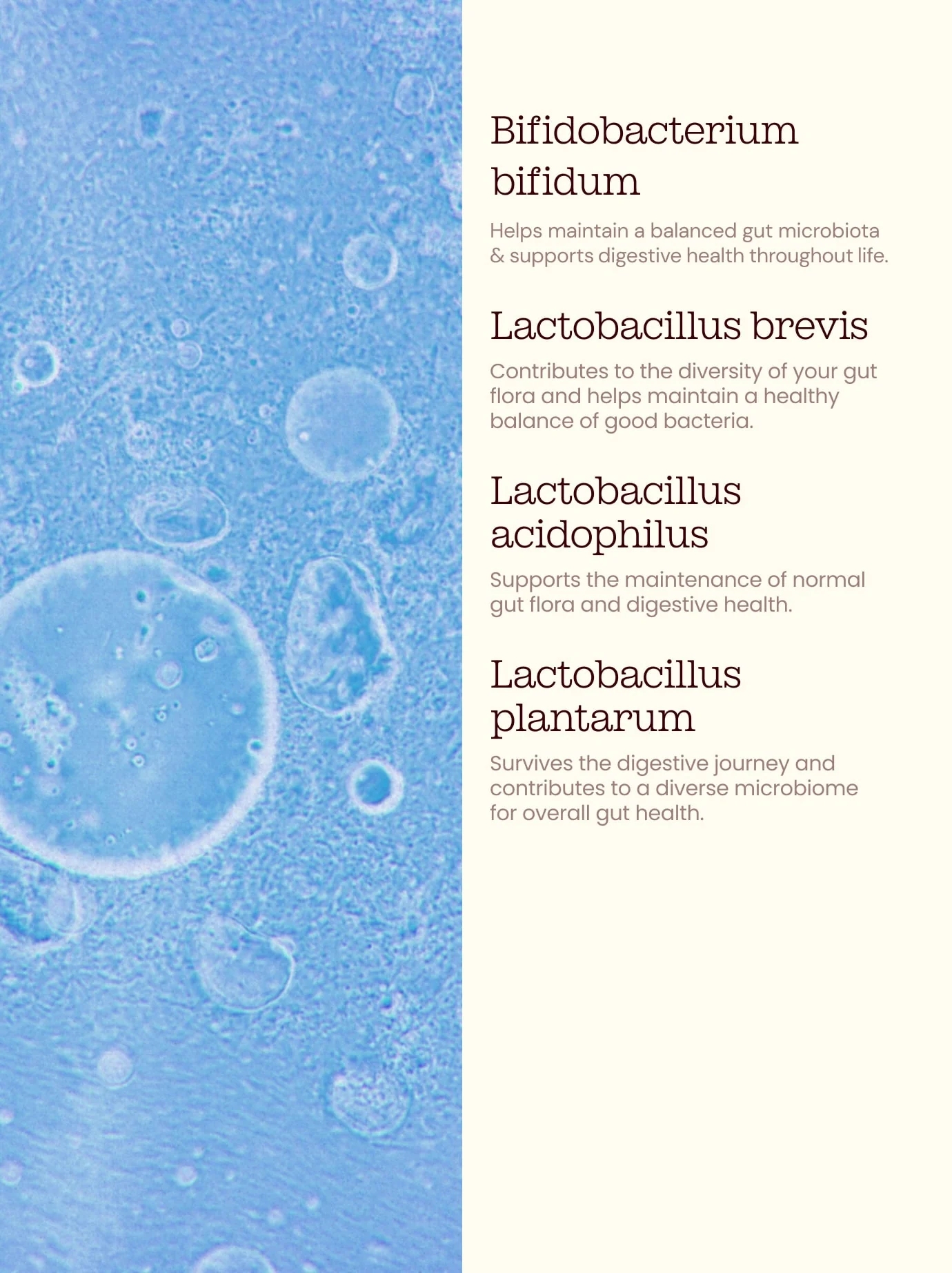 Bio-Cultures Capsules - Image 6